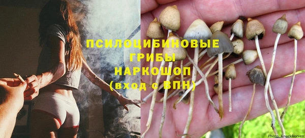 трава Заволжье