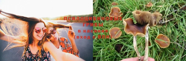 трава Заволжье